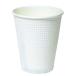 �y������E�l��s�z1500�ESMP-260E �����n �i260ml�j �f�M�� �G���{�X ��㣋��� �g���̂� �Ɩ��p �J�b�v �ϔM ���R�b�v  �i�{�̂̂݁j1500�� ��������