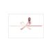 ڥ᡼б(6ޤޤ)  Τ <>ַ ƦȽ5() 2-15 (100)