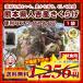 濃厚な旨みと豊かな香り 熊本県 人吉産 きくらげ(20g)×1袋 スライスタイプ 国産 キクラゲ 九州 木耳 お試し きくらげ 希少 わけあり 得トクセール