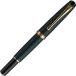 Foto di Fountain Calligraphy Pen Yume Ginga Genuine Leather Green