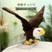  мягкая игрушка taka.. ястреб настоящий птицы животное игрушка wasi Eagle подлинный товар целиком украшение подарок симпатичный мужчина девочка .. часть магазин интерьер .. было использовано день 