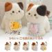 мягкая игрушка кошка. мягкая игрушка кошка. Dakimakura .. кошка кошка Dakimakura симпатичный нежный .... ребенок день рождения Рождество подарок подарок очень популярный игрушка 