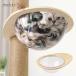  башня для кошки космический корабль кошка walk кошка подножка кошка Capsule кошка для прозрачный Capsule type 