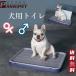  dog for toilet tray dog. toilet dog male for female for wall type L character type toilet small size dog medium sized dog mesh attaching wall attaching optional Flat type white blue training 