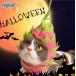  для домашних животных шляпа Halloween питахайя type шляпа костюмы аксессуары кошка собака преображение надеты Halloween товары 