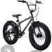 Discovery Adventures ( Discovery adventure z) fatbike Fat City Cruiser BMX bicycle 