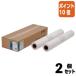 #2 позиций комплект * отметка 10 раз # Epson Epson обыкновенная бумага roll ( тонкий ) EPPP6424 610mm ширина EPPP6424