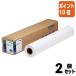 #2 позиций комплект * отметка 10 раз # Epson для плоттера бумага MC толщина . коврик 420mm ширина ×25m MCSPA2R4