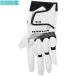 [꡼] Gloves GOLF GLOVE 6.0