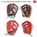 Rawlings( low кольцо s) GS4FHDS65 софтбол перчатка HOH DP COLORS S65 круговой 