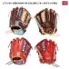 Rawlings( low кольцо s) GS4FHDS66 софтбол перчатка HOH DP COLORS S66 круговой 
