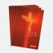 Supreme ץ꡼ Piss Christ Sticker ԥ 饤 ƥå 17FW