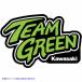  OEMǥ D'COR VISUALS Decal Sheet - 8 - Team Green 40-20-201 #DRAG #43202376