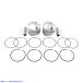 ���¹�͢���ʡ� �ԥ��ȥ󥭥å� - ɸ�� - �ⰵ�� - 1978-1984 - �ӥå��ĥ��� �磻���� WISECO Piston Kit - St K1623 #DRAG #K1623