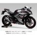 襷 Ninja250/ABSZ250ѡ R-11  1 EXPORT SPEC[SS]110-227-5F50