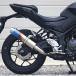 WR'S YZF-R25(*25-)/MT-25(*25-) раунд модель slip-on глушитель ( жарение цвет titanium ) BK2280JM