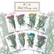  засушенный цветок (85) треска spi сухой цветок материалы для цветочной композиции засушенный цветок resin консервированный цветок гербарий подарок подарок доставка внутри страны 
