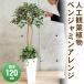 �y���i�z �t�F�C�N�O���[�� ���G�} �x���W���~���A�����W 120cm �l�H�ϗt�A�� �C���e���A ���G�}���H �����s�v �������s�v