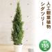 �y���i�z �t�F�C�N�O���[�� ���G�} �V�_�c���[ 155cm �l�H�ϗt�A�� �C���e���A ���G�}���H �����s�v �������s�v