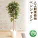 �y���i�z �t�F�C�N�O���[�� ���G�} �x���W���~�� 170cm �l�H�ϗt�A�� �C���e���A ���G�}���H �����s�v �������s�v