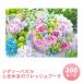 �W�O�\�[�p�Y�� 300�s�[�X �Ƃ��߂��̃t���b�V���u�[�P �������� �Q�[�� �O�V�їp�i 300�s�[�X~ �����V�� �ɂԂ� ���i
