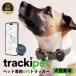 TrackiPet тигр ki домашнее животное для домашних животных GPS отправка машина Trackipet 1 год гарантия TRKI006-T собака кошка защита собака защита кошка легкий ji-pi-es домашнее животное поиск Mini собака кошка GPS для домашних животных 