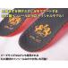 BMZ �~ NEEZ �R���{��� ���Ő􂦂� �C���\�[�� BMG �A�X���[�g �X�|�[�c �X�L�[ �X�m�[�{�[�h ���~�� �֘A�摜1