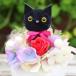�������� �t�����[�M�t�g ������� �L����� �v���[���g �a���� �l�R�O�b�Y ���L �˂� �L�D�� ���� ������� ���� �o�� �ԑ� ���蕨 ���j�� �֘A�摜3