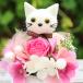 �������� �t�����[�M�t�g ������� �L����� �v���[���g �a���� �l�R�O�b�Y ���L �˂� �L�D�� ���� ������� ���� �o�� �ԑ� ���蕨 ���j�� �֘A�摜4