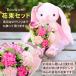�o���G �ʂ������  �ԑ��Z�b�g ���������� �s���N �u���[ �o���G���\�� ���蕨 �v���[���g �֘A�摜2