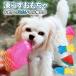 �� �������� ���炷 �A�C�XTOY �A�C�X�g�C ��l�V�� ���� �ߋ� �T�� �� �M���Ǒ΍� �����ėV�� ����ŗV�� ���点�ėV�ׂ� ������ �� ���O ���� ���U��