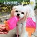 �� �������� ���炷 �A�C�XTOY �A�C�X�g�C ��l�V�� ���� �ߋ� �T�� �� �M���Ǒ΍� �����ėV�� ����ŗV�� ���点�ėV�ׂ� ������ �� ���O ���� ���U�� �֘A�摜3