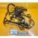 [ бесплатная доставка!!][XB 58226] Yamaha YAMAHA Maxam 250 SG17J-013 главный жгут электропроводка 