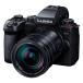 ѥʥ˥å ߥ顼쥹㥫 ߥå LUMIX G9 PRO II 󥺥å DC-G9M2L ֥å Panasonic