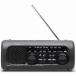 doli Tec PR-322BK.. только зарядка радио свет 2 черный 