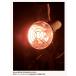 �C���^�j �A�E�g�h�A�q�[�^�[ FW-OH01 FORE WINDS OUTDOOR HEATER iwatani �������E���[�E�������� �֘A�摜3
