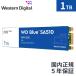 WesternDigital WD Blue SA510 SATA��³ M.2 SSD WDS100T3B0B