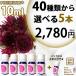 PP5 10ml 40 kind from is possible to choose 5ps.@ aroma oil set 
