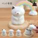  домашнее животное .. inserting .. минут .... love кошка собака ... симпатичный Mini .. керамика производства модный чихуахуа игрушка пудель . собака кошка .. собака ..