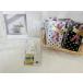 �v�`�M�t�g �J�t�F���e  �u���C�_�� ���z��Z�b�g �F�B  �E��   ���َq   ������  Godiva �ސE �����z��  ���� �v���[���g �z���C�g�f�[ ���Ǝ� �`���R ����