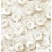 �v�`�M�t�g �~���N�e�B�[  �l�ߍ��킹 ���z��Z�b�g �F�B  �E��   ���َq   ������  Godiva �ސE �����z�� �]�� ���� �v���[���g �����b�ɂȂ�܂��� ���Ǝ� �֘A�摜5