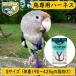 [ новый версия ] bird Harness Avy e-ta-(S) Harness & Lee shu длиннохвостый попугай попугай Harness шлейка Momo iro длиннохвостый попугай akebono длиннохвостый попугай предотвращение длиннохвостый попугай птица 