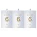 hoyu���ۡ��桼�ץ��ե��å���ʥ롡�ץ����ƥåס����꡼�४��������6%��1000ml��3�����å�