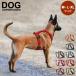 [ параллель импортные товары ] Harness собака Copen - -genDOG Copenhagen комфорт walk воздушный M/54-68 L/66-82 XL/80-116