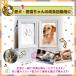 �� �a���� �v���[���g �L �y�b�g �t�H�g�t���[�� �������A�� ��` ���^ ���� �X�^���v PeLo �֘A�摜2
