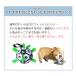 ���p�T�b�J�[�{�[�� �^�O�t�� ��C����t ���^�� ���^�� �������� �y�b�g�g�C �g���[�j���O ���O�������p �^���s���΍� PeLo �֘A�摜4