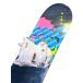 SALOMON �X�m�[�{�[�h FLOW �o�C���f�B���O�t�Z�b�g �O���t�B�b�N�� �֘A�摜4