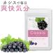  black currant supplement 1 месяцев минут 60 шарик голубика Anne to цианин глаз. усталость black currant пудра BeWave День отца 