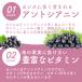 �J�V�X �T�v�� 1������ 90�� �u���[�x���[ �A���g�V�A�j�� BeWave �ڂ̔�� �J�V�X�p�E�_�[  ���� �֘A�摜5