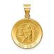 14k Yellow Gold and Satin St. Luke Medal Pendant